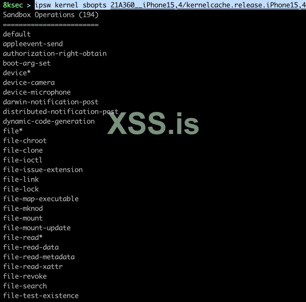 ipsw_kernel_sbopts.png