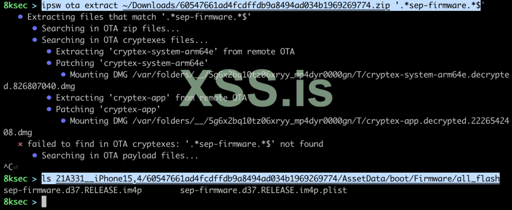 ipsw_ota_extract.png