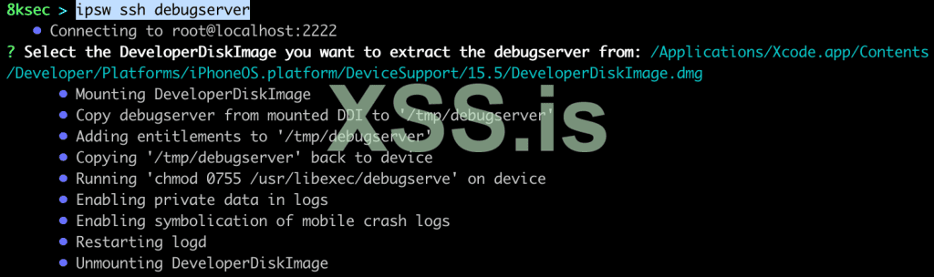 ipsw_ssh_debugserver.png