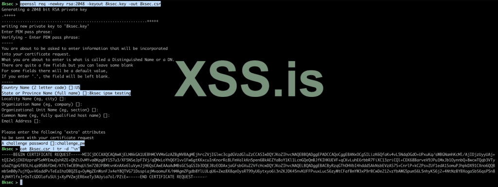 openssl_csr.png