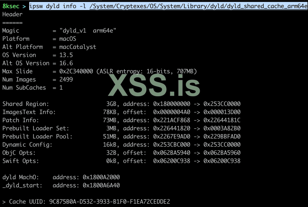 ipsw_dyld_info.png