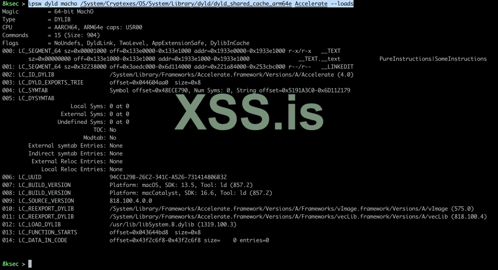 ipsw_dyld_macho.png