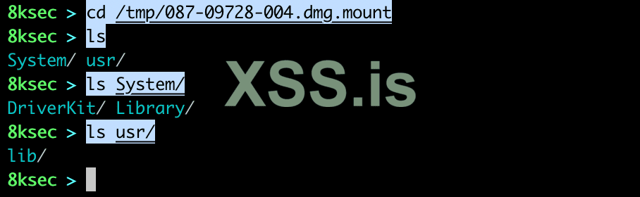 ipsw_mount_sys_in.png