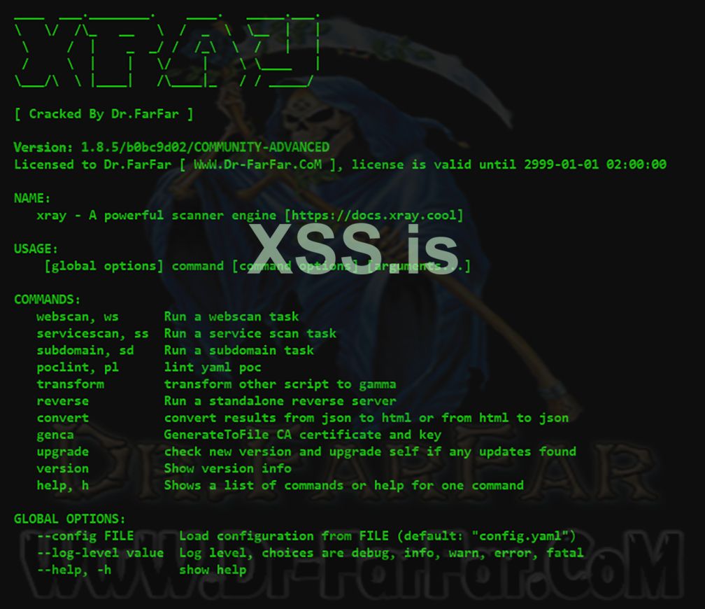 xRay Web Vulnerability Scanner Advanced.jpg