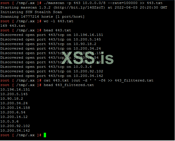 masscan-443.png