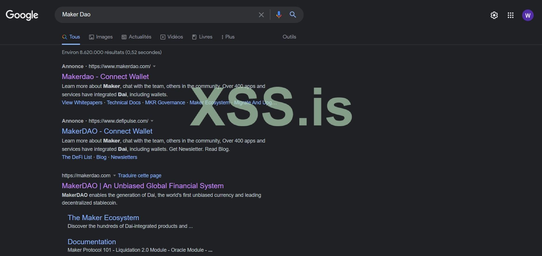 xss1.JPG