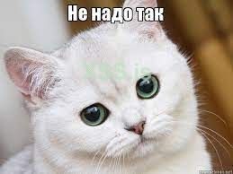 Без названия.jpg