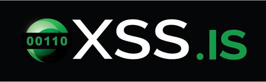 XSS_3.jpg