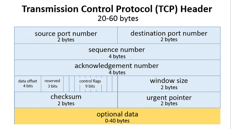 tcp_pkt_structure.png