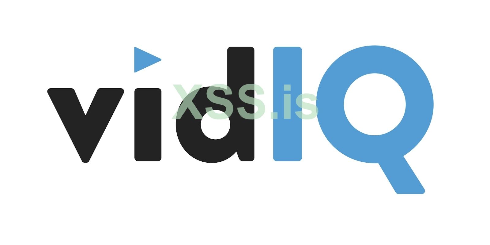 vidiq_logo_light.jpg