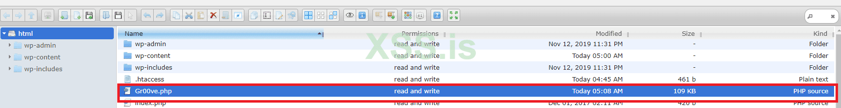 Загрузили шелл.png
