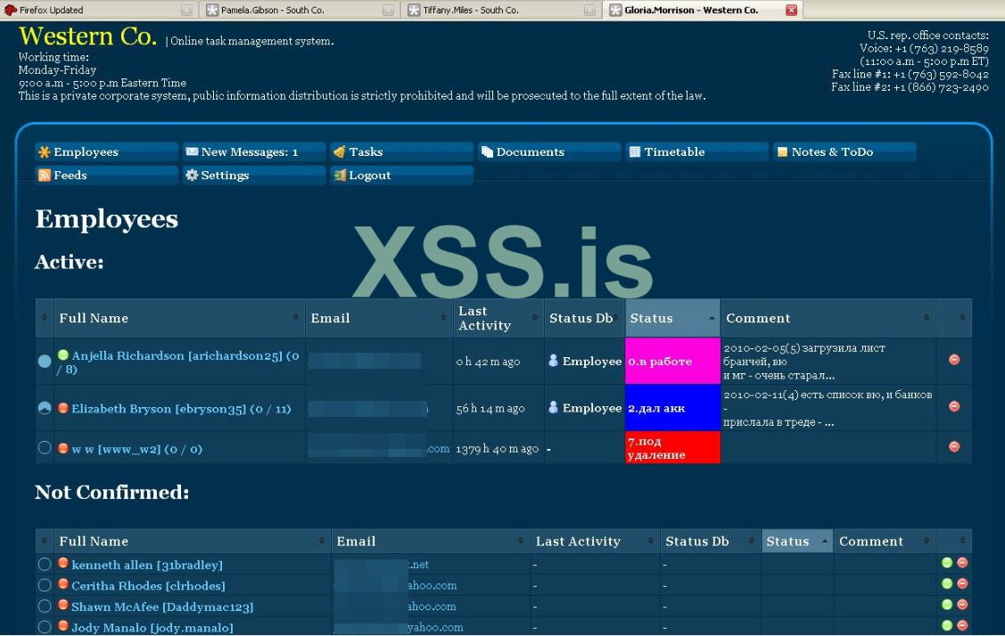 Общий вид сайта для работы с «мулами»