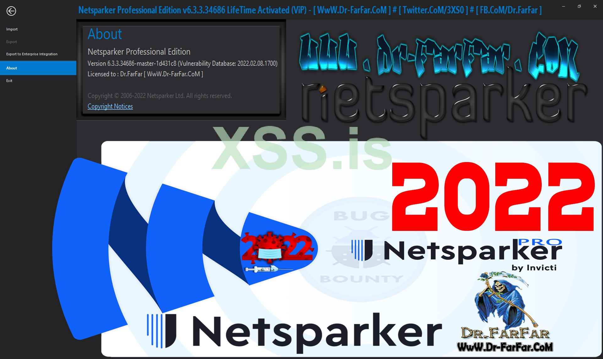 Netsparker Professional Edition.jpg
