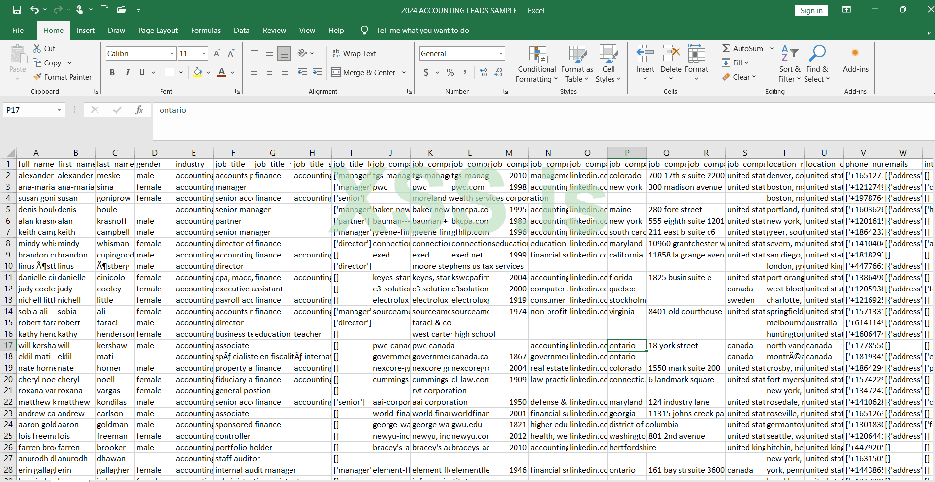 2024 ACCOUNTING LEADS SCCREENS.png