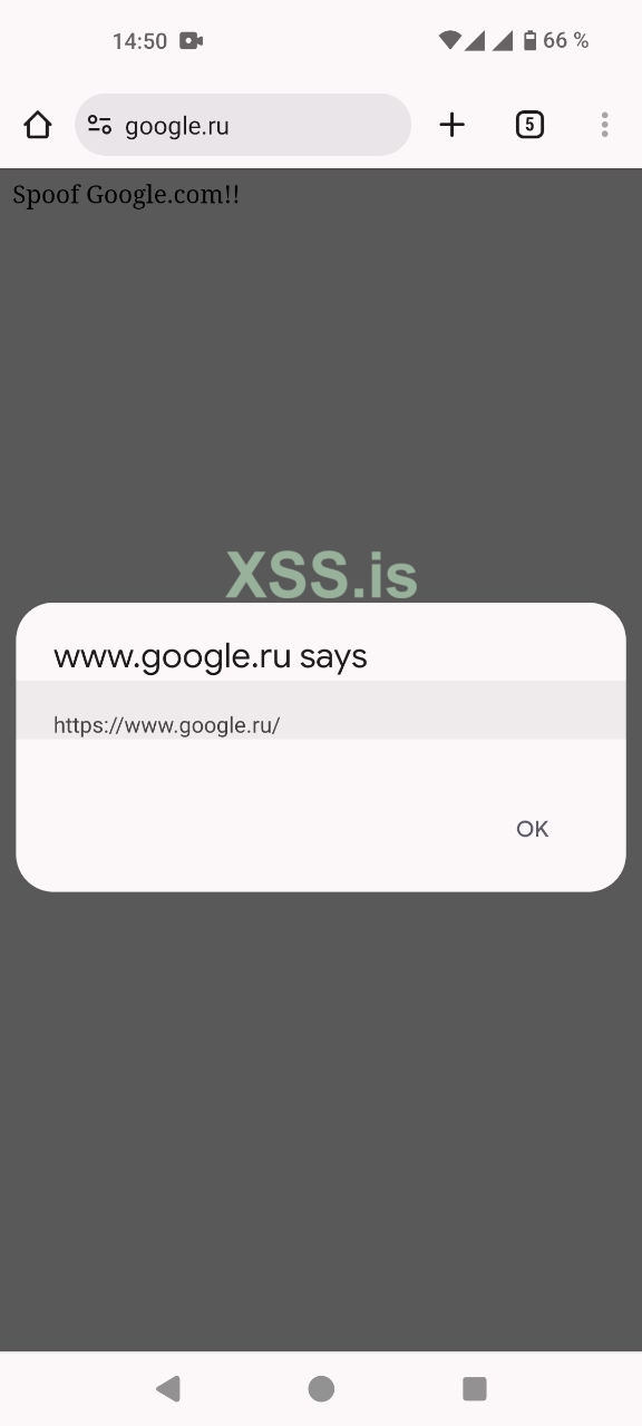 xss.jpg
