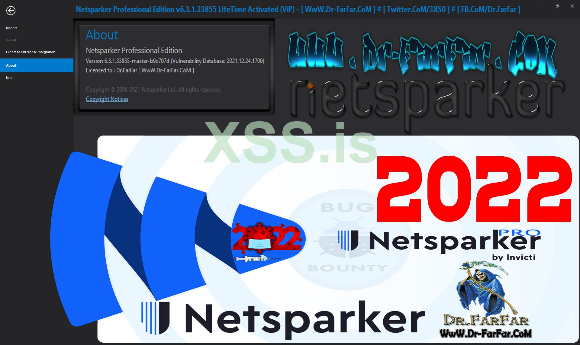 Netsparker Professional Edition.jpg