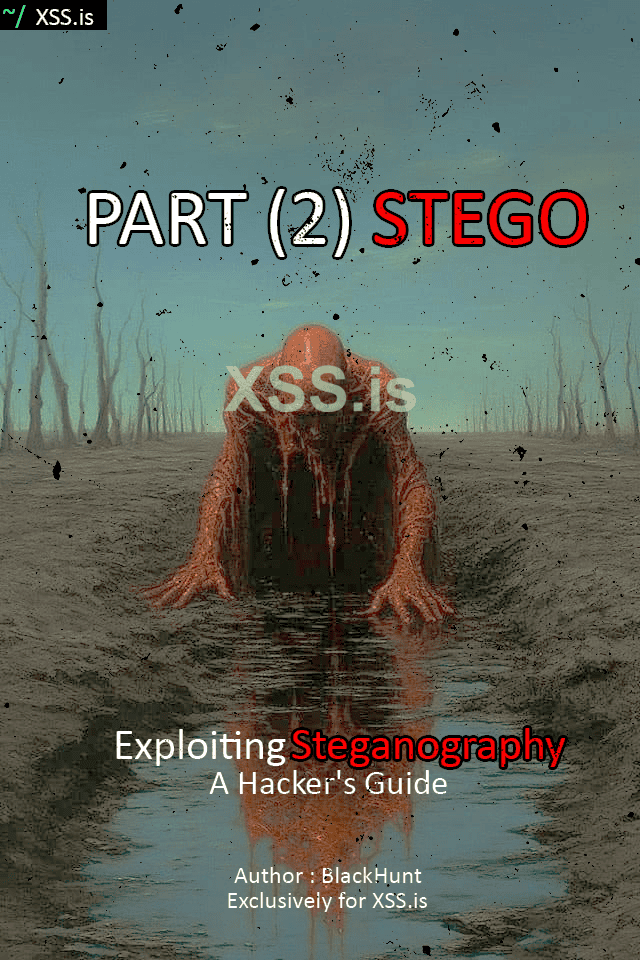 STEGO(xss.pro Part 2).png