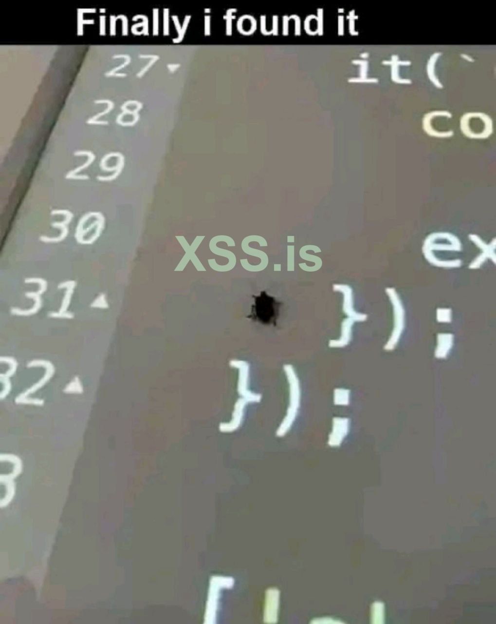 bugcode.jpg