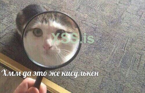 чё_смотришь_сюда.jpg