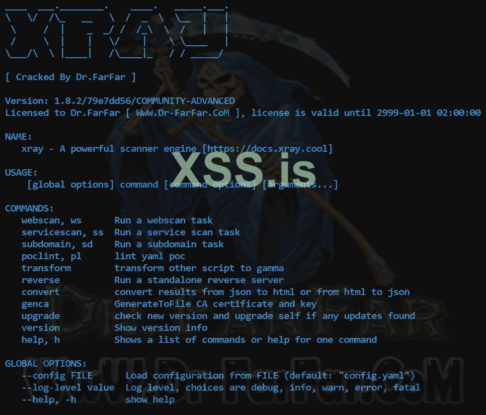xRay Web Vulnerability Scanner Advanced.jpg
