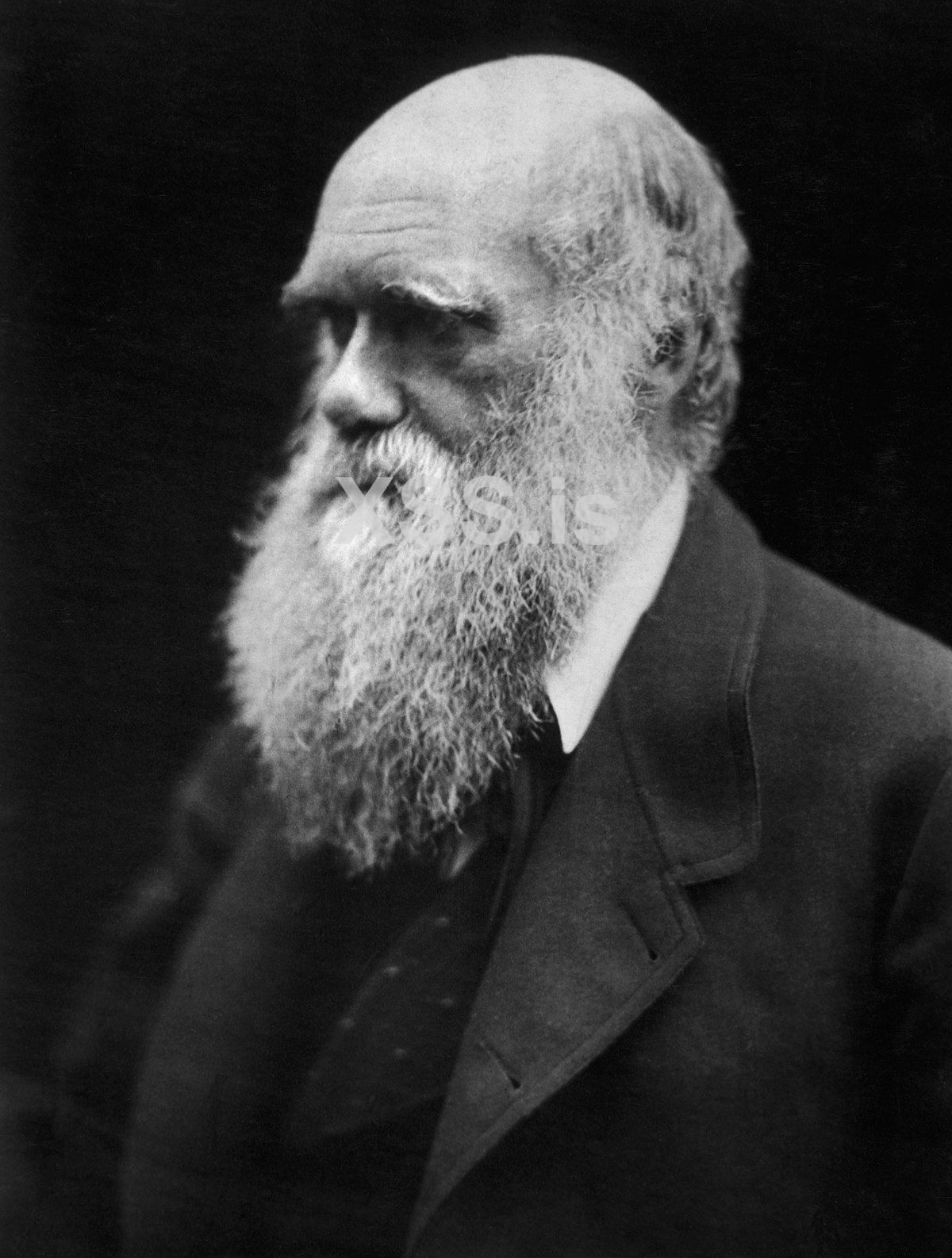 1200px-Charles_Darwin_photograph_by_Julia_Margaret_Cameron,_1868.jpg