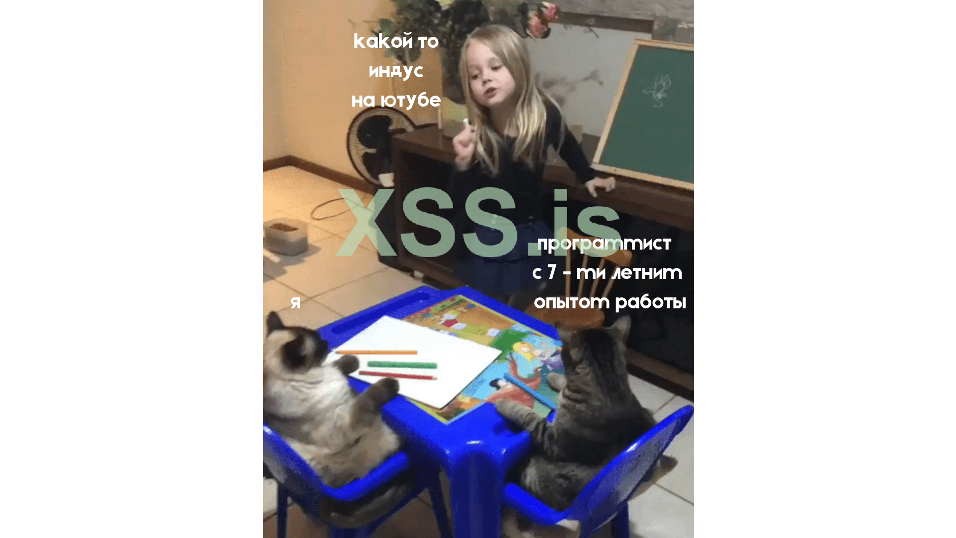 какой то индус на ютубе (1).png