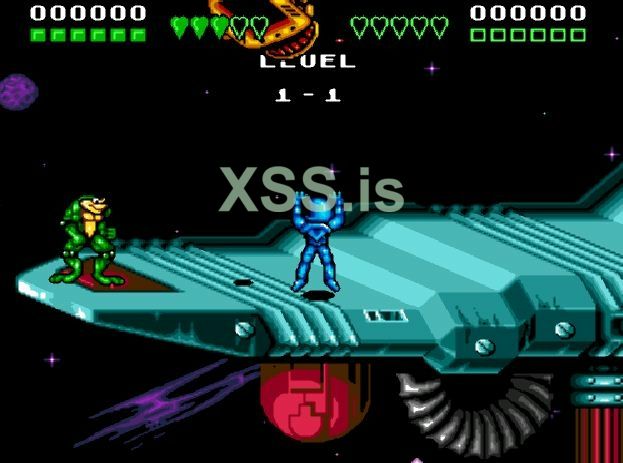1336479551_gens-genesis-battletoads-and-double-dragon-_2012-05-08_16-18-12.jpg