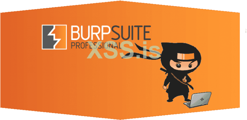268-2684275_burp-suite-pro-cracked-burp-suite.png