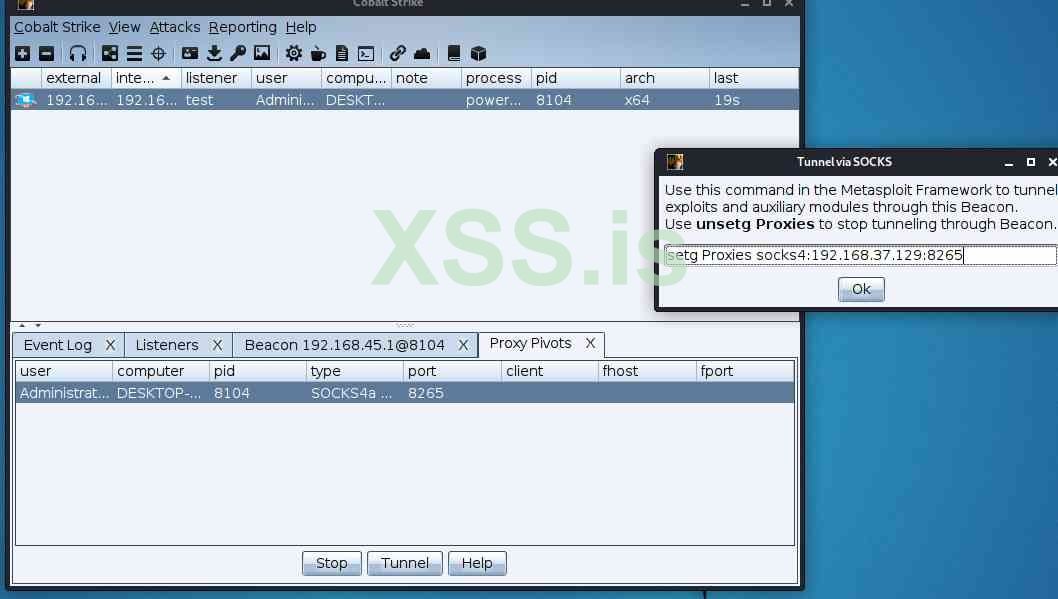 xss_2.jpg