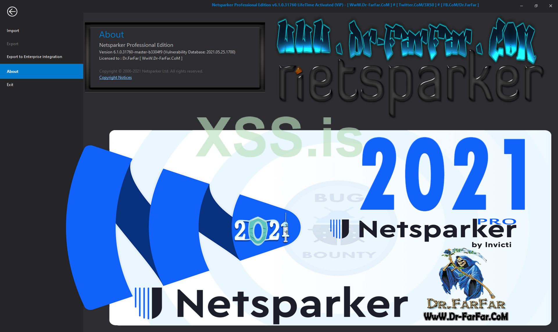 Netsparker Professional Edition Cover.jpg