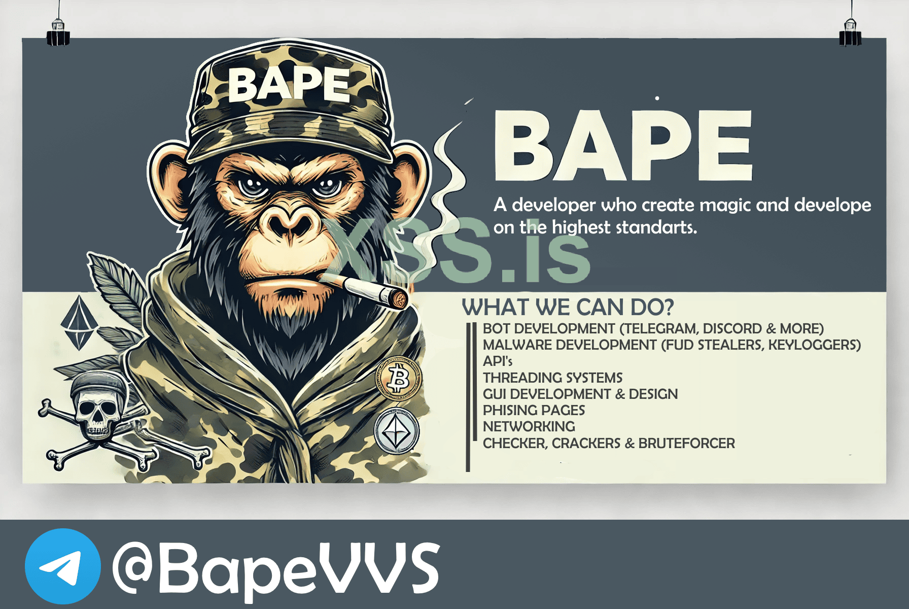 Bape Developer Banner.png