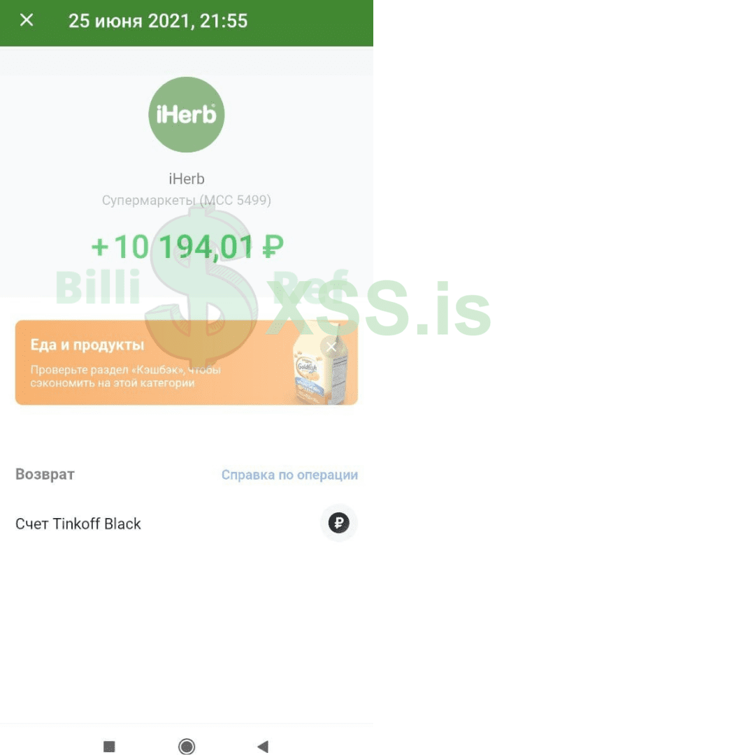 Реф на карту 10190 Рублей.png