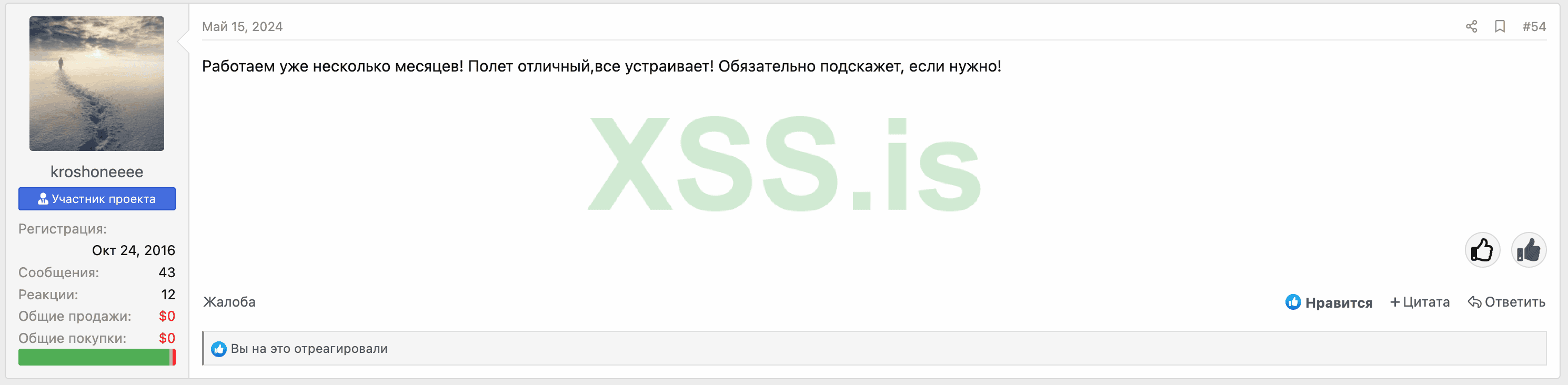 Снимок экрана 2024-08-02 в 19.25.15.png