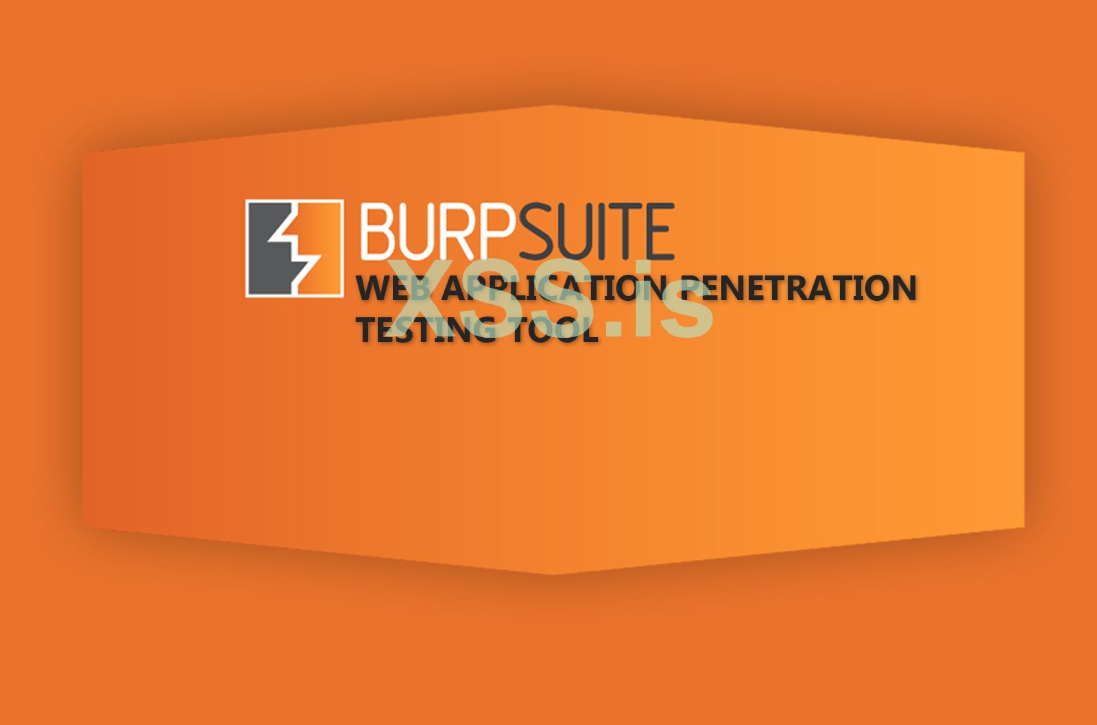 Burp-Suite.jpg