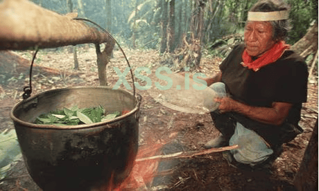 A-shaman-in-Ecuador-boils-008.png