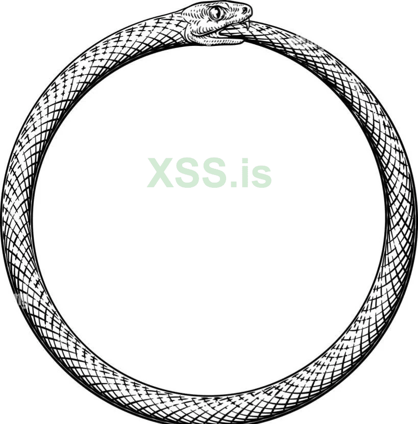 what-do-you-think-the-meaning-of-a-two-snake-ouroboros-is-v0-ylktug87xjna1.png