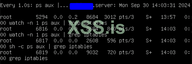 Screenshot_5_ps_aux.png