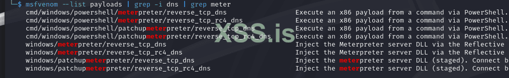 met_dns.png