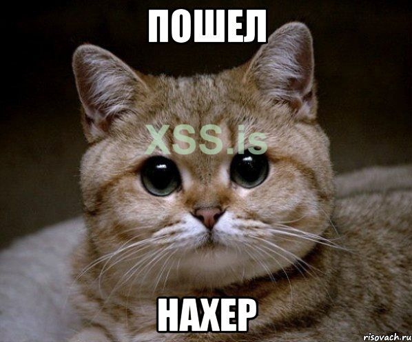 мем (пошел нахер).jpeg