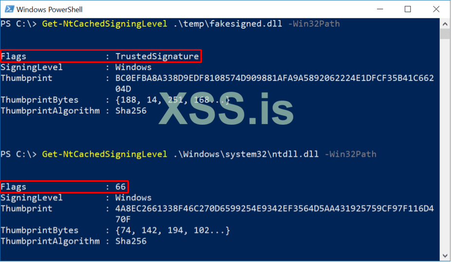 Cached Signature.png
