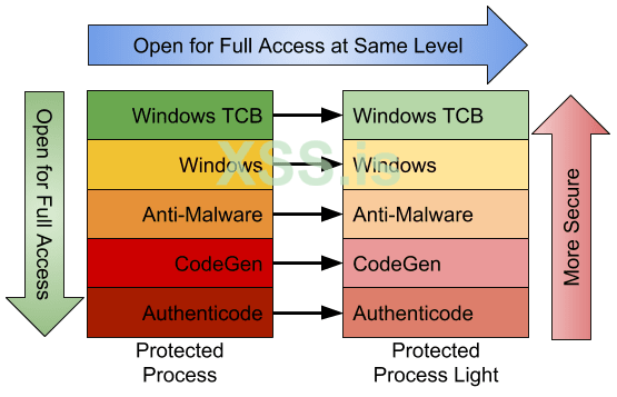 PP and PPL Levels.png