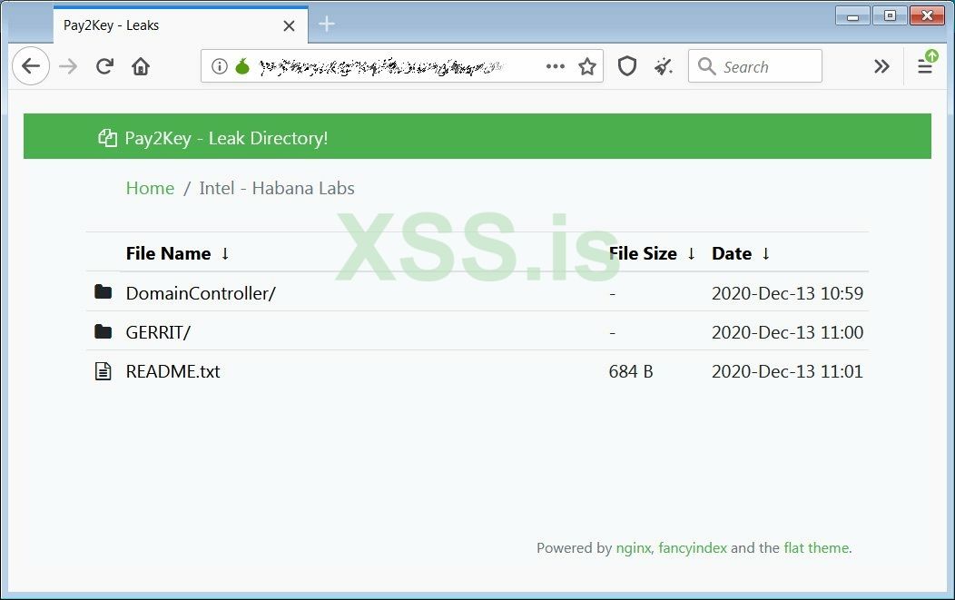 pay2key-data-leak-site.jpg