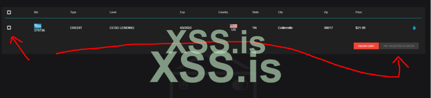 Без названия.png