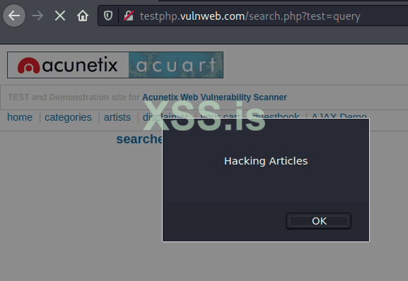 Burp Suite для пентестинга: XSS Validator