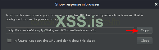 Burp Suite для пентестинга: XSS Validator