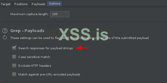 Burp Suite для пентестинга: XSS Validator
