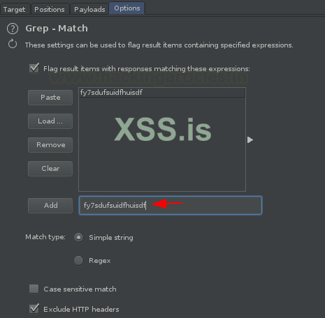 Burp Suite для пентестинга: XSS Validator