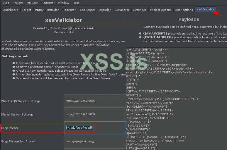 Burp Suite для пентестинга: XSS Validator