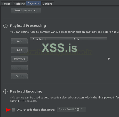 Burp Suite для пентестинга: XSS Validator